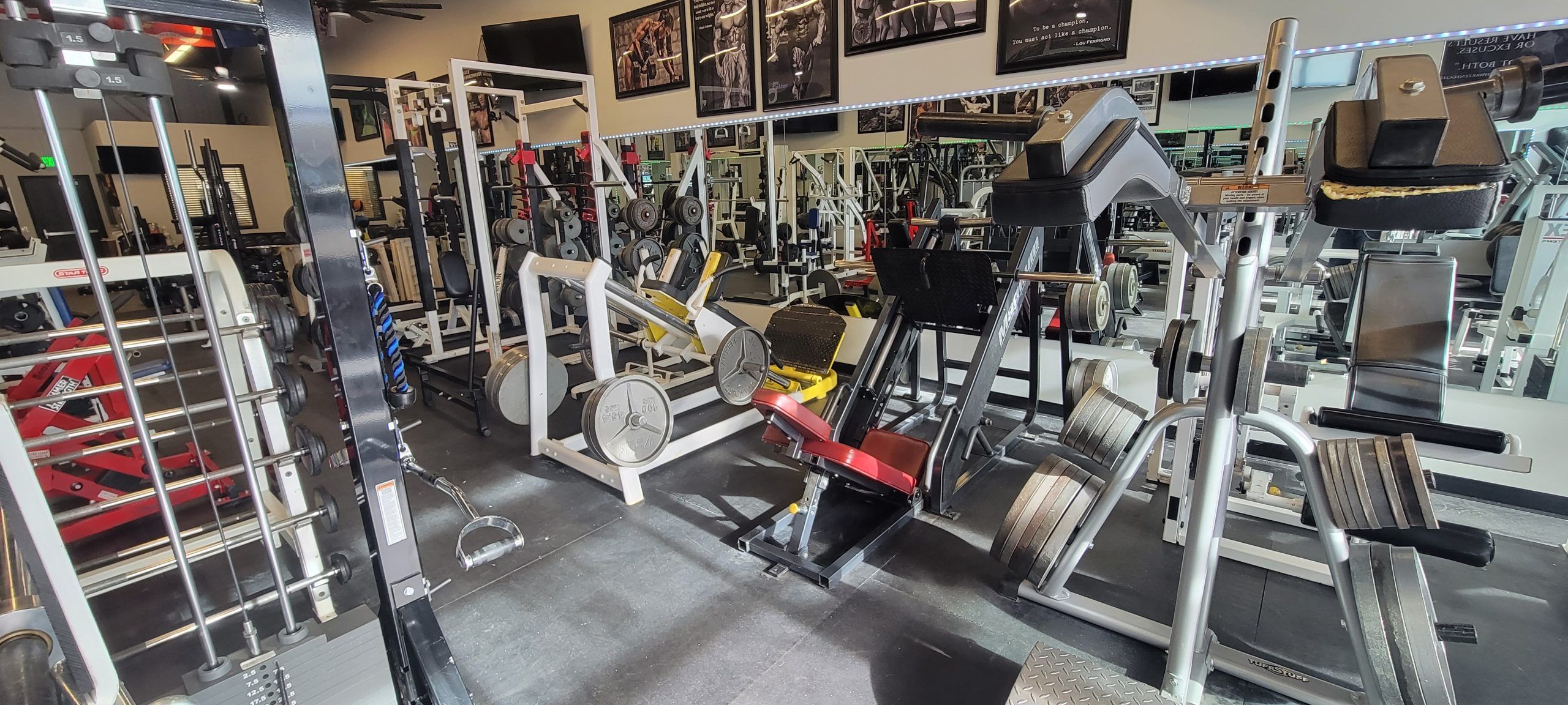Plate-loaded leg machines including a hack squat and leg press stations loaded with plates